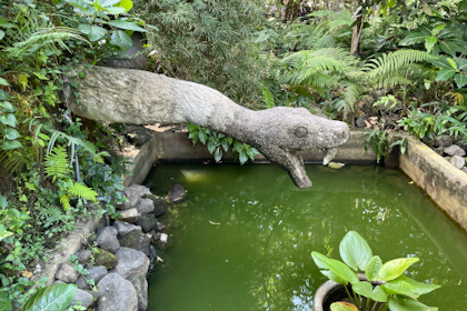 Ubud 38