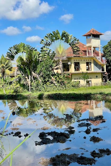 Ubud 77