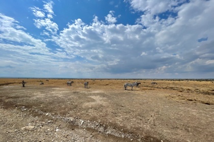 Ol Pejeta Reservat 51