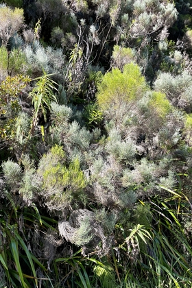 17BBBED6 F5D3 470D B40B 9006365AA72E