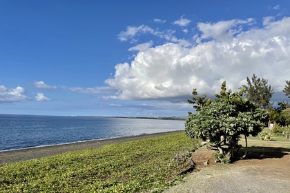 1B677653 8DA1 42DB 9769 724A620EE095