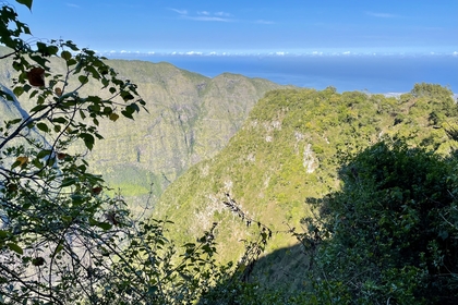 4D0D12B0 CD77 4A1C 9333 A94AA179DA23