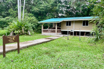 Bako Nationalpark 05