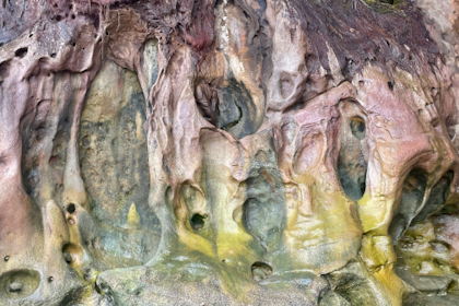 Bako Nationalpark 15