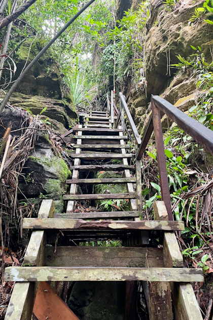 Bako Nationalpark 63