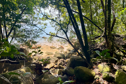 Permai Rainforest 13