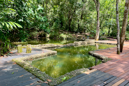 Permai Rainforest 17