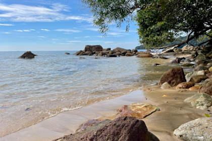 Permai Rainforest 24