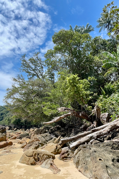 Permai Rainforest 80