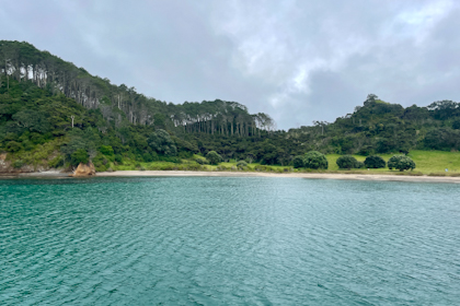 Bay of Islands 25