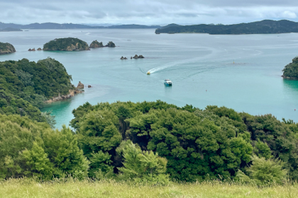 Bay of Islands 53