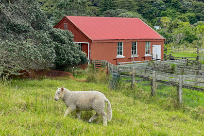 Bay of Islands 55