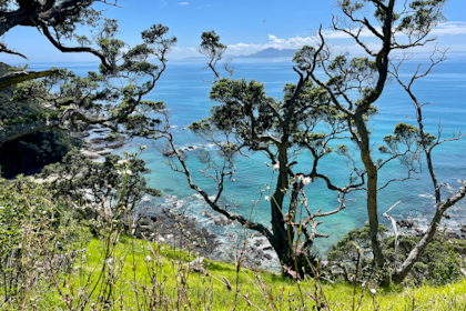 Mangawhai 21