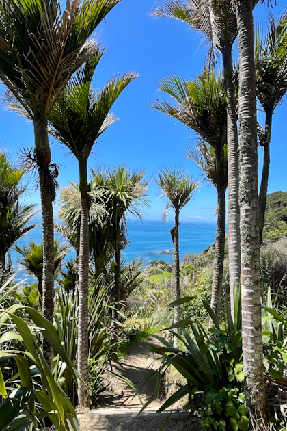 Mangawhai 82