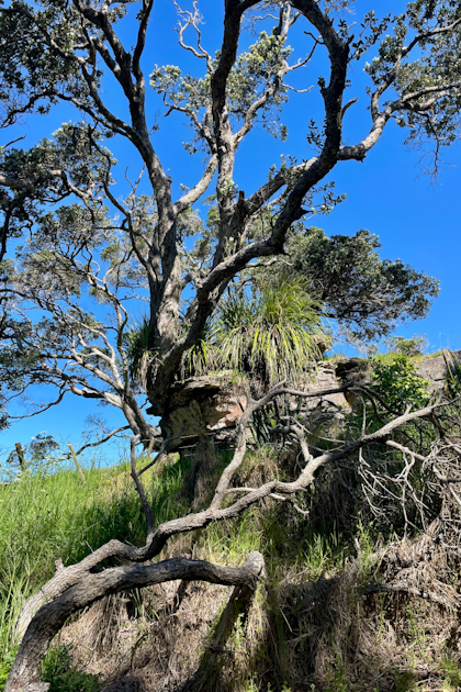 Mangawhai 91