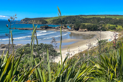 Tawharanui Regional Park 18