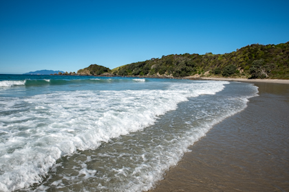 Tawharanui Regional Park 50