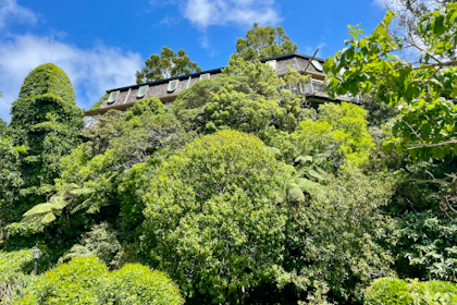 Wellington 12