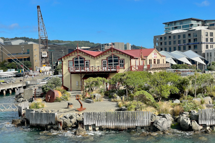 Wellington 18
