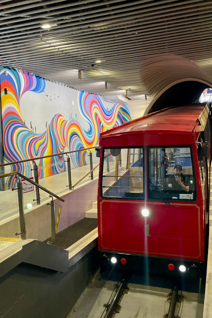 Wellington 48