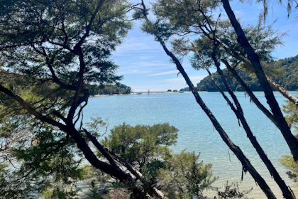 Abel Tasman Nationalpark 16