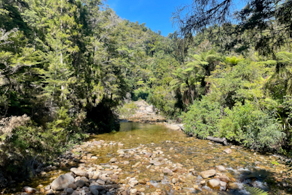 Abel Tasman Nationalpark 19