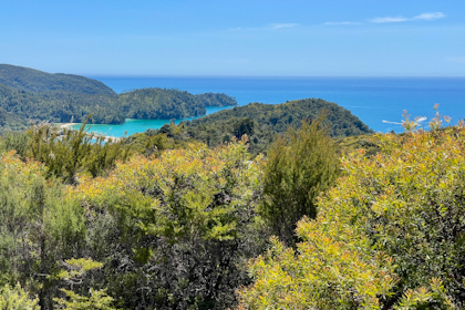 Abel Tasman Nationalpark 25