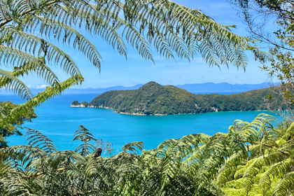 Abel Tasman Nationalpark 27
