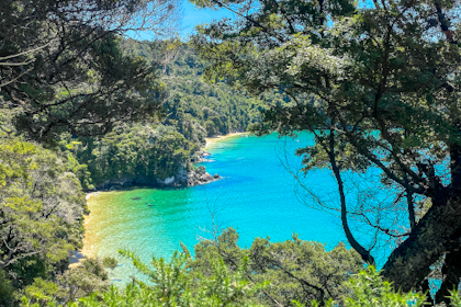 Abel Tasman Nationalpark 30