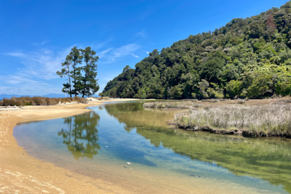 Abel Tasman Nationalpark 41