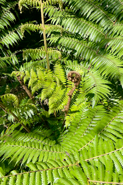 Abel Tasman Nationalpark 73