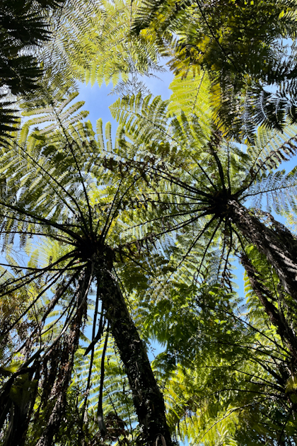 Abel Tasman Nationalpark 75