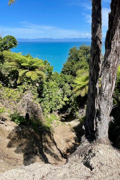 Abel Tasman Nationalpark 83