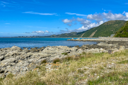 Blenheim Marlborough 01