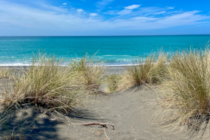 Blenheim Marlborough 20