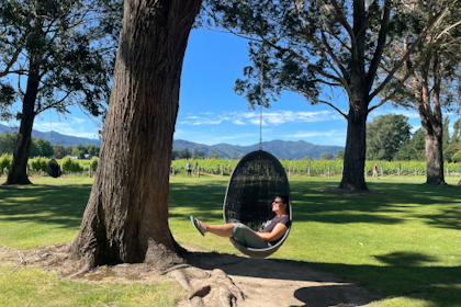 Blenheim Marlborough 49