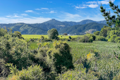 Blenheim Marlborough 52