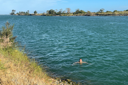 Blenheim Marlborough 57