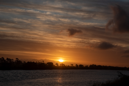 Blenheim Marlborough 66