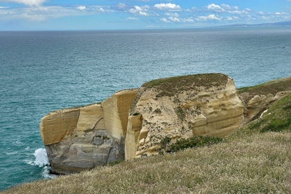 Dunedin 03