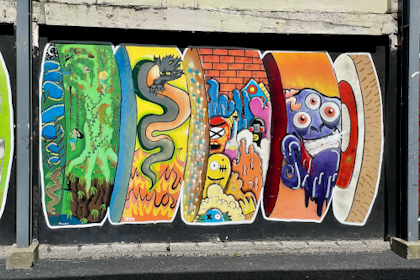 Dunedin 24