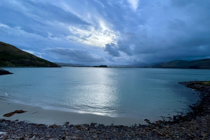 Dunedin 39