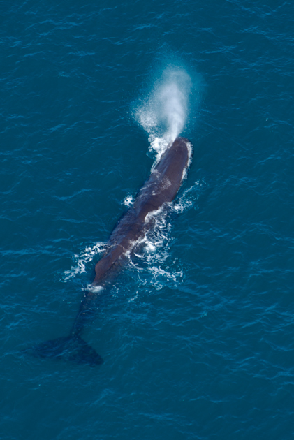 Kaikoura 115