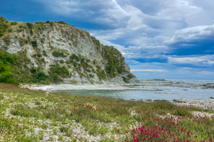 Kaikoura 21