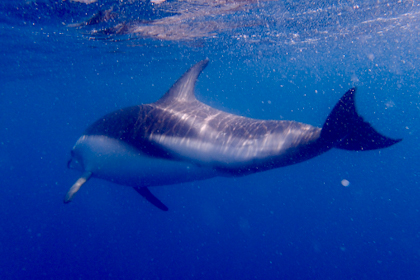 Kaikoura 41