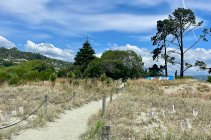 Nelson Cable Bay 24