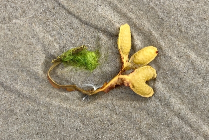 91F833CD D300 49DB AE0C C702AFCB1A01