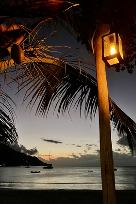 4449E368 233F 48ED 9002 267F36A0C70F