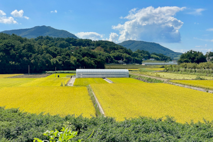 Namhae 10