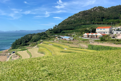 Namhae 33